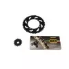 Κιτ αλυσίδα και γρανάζια REGINA για KTM DUKE 200