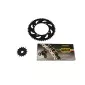 Κιτ αλυσίδα και γρανάζια REGINA για KTM DUKE 200 thumb