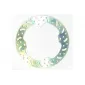 Δισκόπλακα μοτοσυκλέτας πίσω EBC FIX D SERIES RND MD6290D thumb