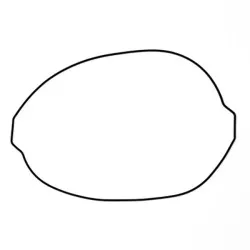 Φλάντζα συμπλέκτη ProX για KTM/HUSQVARNA/HUSABERG Φλάντζα συμπλέκτη ProX για KTM/HUSQVARNA/HUSABERG