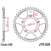 Γρανάζι πίσω κίνησης JT Sprockets JTR829.43 thumb