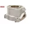 Κύλινδρος STD BORE 50005