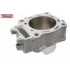 Κύλινδρος STD CRF250R 10007