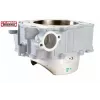 Κύλινδρος STD YZ450F 20005