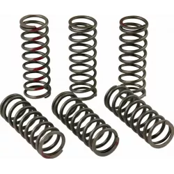 Ελατήριο συμπλέκτη PROCIRCUIT CLUTCH SPRING CRF450R 15-22 Ελατήριο συμπλέκτη PROCIRCUIT CLUTCH SPRING CRF450R 15-22