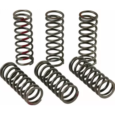 Ελατήριο συμπλέκτη PROCIRCUIT CLUTCH SPRING CRF450R 15-22 Ελατήριο συμπλέκτη PROCIRCUIT CLUTCH SPRING CRF450R 15-22