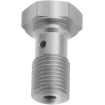 Βίδα για σωλινάκι φρένου TRW BANJO BOLT M10x1.25 ST Βίδα για σωλινάκι φρένου TRW BANJO BOLT M10x1.25 ST thumb