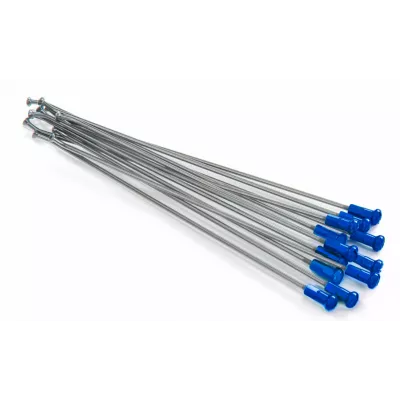 Ακτίνες τροχού μοτοσυκλέτας KITE SPOKES 19 RR SI /BL NIP 12PC Silver/Blue