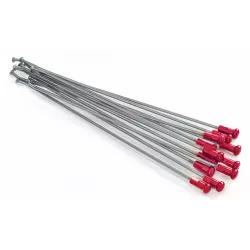 Ακτίνες τροχού μοτοσυκλέτας KITE SPOKES 21FR SI /RE NIP 12PC Silver/Red Ακτίνες τροχού μοτοσυκλέτας KITE SPOKES 21FR SI /RE NIP 12PC Silver/Red