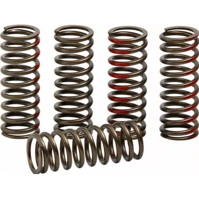 Ελατήρια συμπλέκτη PROCIRCUIT SPRINGS CLUTCH CRF250R Ελατήρια συμπλέκτη PROCIRCUIT SPRINGS CLUTCH CRF250R