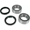Κιτ ρουλεμάν πίσω τροχού BEARING KIT WHEEL Rear Yamaha YFZ thumb