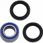 Ρουλεμάν μπροστινού τροχού MOOSE RACING BEARING WHEEL KIT FRONT CANAM thumb