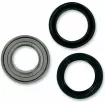 Ρουλεμάν μπροστινού τροχού MOOSE RACING BEARING WHEEL KIT FRONT SUZUKI LT-A thumb