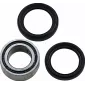 Ρουλεμάν πίσω τροχού MOOSE RACING BEARING REAR WHEEL-TRX RINCON thumb