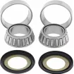 Ρουλεμάν τιμονιού μοτοσυκλέτας MOOSE RACING BEARING STERNG STM- KAWASAKI/SUZUKI KLX/DR-Z 125 Ρουλεμάν τιμονιού μοτοσυκλέτας MOOSE RACING BEARING STERNG STM- KAWASAKI/SUZUKI KLX/DR-Z 125 thumb