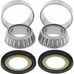 Ρουλεμάν τιμονιού μοτοσυκλέτας MOOSE RACING BEARING STERNG STM-KAWASAKI/SUZUKI KX Ρουλεμάν τιμονιού μοτοσυκλέτας MOOSE RACING BEARING STERNG STM-KAWASAKI/SUZUKI KX