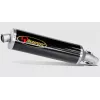 Τελικό εξάτμισης μοτοσυκλέτας AKRAPOVIC CF/CF K1200R/S