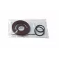 Κιτ φλάντζας για φιάλη βενζίνης RACETECH Quick Fill Seals Kit thumb