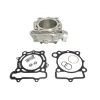Κιτ κυλίνδρου ATHENA Kawasaki KX250F 09-10