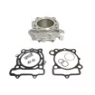 Κιτ κυλίνδρου ATHENA Kawasaki KX250F 09-10 thumb