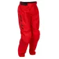 Παιδικό παντελόνι motocross FLY RACING F-16 Riding- Red/Black/Grey thumb