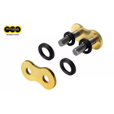 Ασφάλεια αλυσίδας REGINA 420RH2 RS