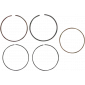 Ασφάλεια πείρου πιστονιού WISECO RING SET EC 300 F 14 thumb