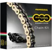 Κιτ αλυσίδα και γρανάζια κίνησης REGINA για DUCATI 695 MON 06-08 thumb