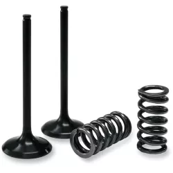 Σετ ατσάλινη βαλβίδα εισαγωγής και ελατήριο ProX για SUZUKI RMZ450/RMX450Z Σετ ατσάλινη βαλβίδα εισαγωγής και ελατήριο ProX για SUZUKI RMZ450/RMX450Z