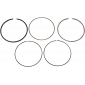 Ασφάλεια πείρου πιστονιού WISECO PISTON RING VM 3.875/STD thumb