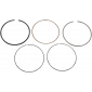 Ασφάλεια πείρου πιστονιού WISECO PISTON RING VM 3.885/.010 thumb