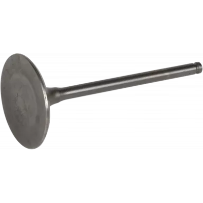 Ατσάλινη βαλβίδα εισαγωγής WISECO INT για DRZ400