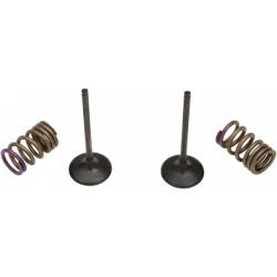 Σετ ατσάλινες βαλβίδες εξαγωγής και ελατήρια για KX250F 09-10 Σετ ατσάλινες βαλβίδες εξαγωγής και ελατήρια για KX250F 09-10
